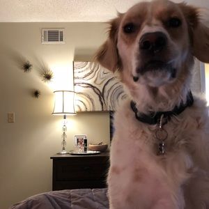 Meet your Posher, Melanie